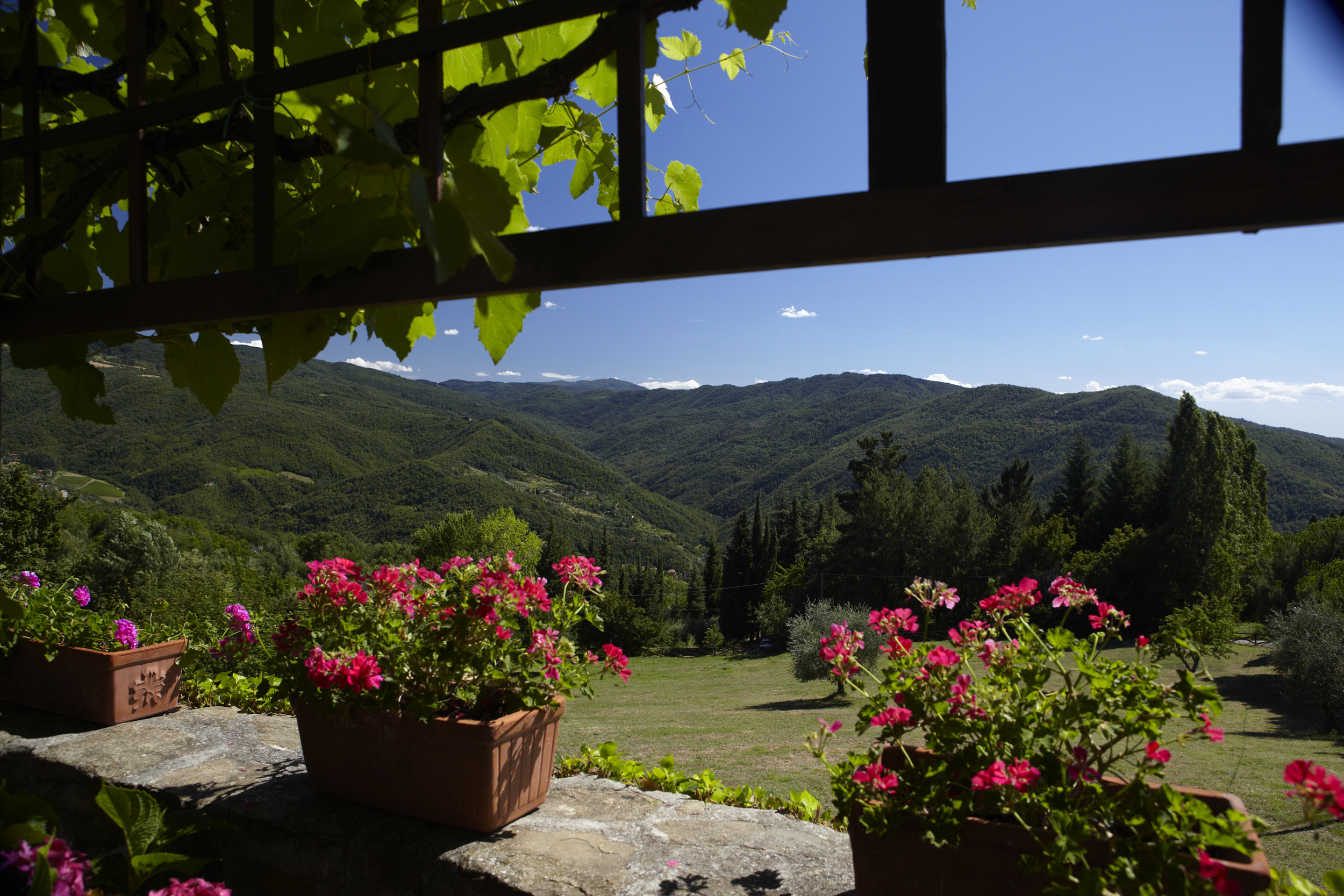 Tuscan views